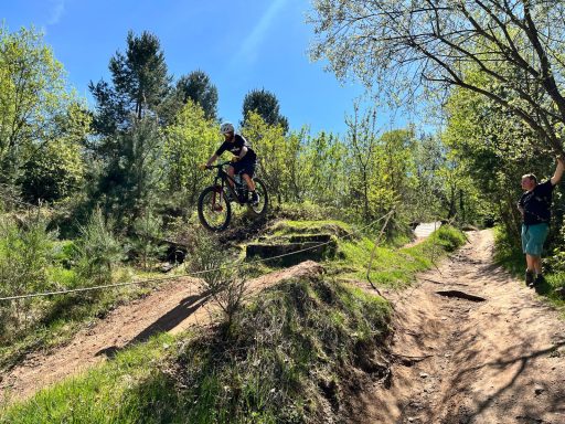 Bikepark Trippstadt